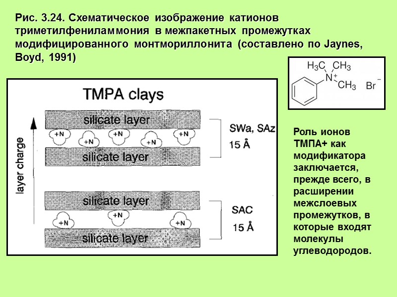Рис. 3.24. Схематическое изображение катионов триметилфениламмония в межпакетных промежутках модифицированного монтмориллонита (составлено по Jaynes,
